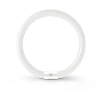 32W Tube Fluorescent Rond T9 G10Q à économie D'énergie, Tube Néon Blanc Froid 6500K, éclairage Annulaire à Faible Consommation D'énergie, Adapté à La Cuisine, Au Couloir, Aux Escaliers,1 Pack