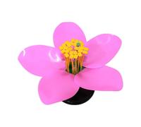 33 cm - Modèle anatomique de fleur de pêche incassable - Structure ovaire pour enfants - Pour apprendre l'anatomie des plantes