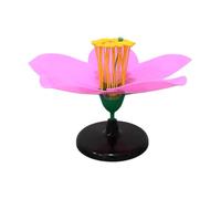 33 cm - Modèle de fleur de pêche élargie - Modèle anatomique - Biologie - Aide pédagogique pour salle de ole, laboratoire, dissection