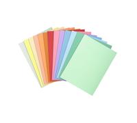 [330002E] EXACOMPTA Paquet de 100 chemises SUPER 210g Teinte Assortie Pastel