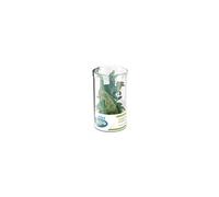 33019 Mini PLUS Dinosaures Lot 2 (Tube, 6 pcs)