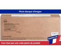 Dell Toner 593-11167 C3NTP M11XH noir