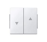 343419 Wippe für Rollladenschalter und -taster, polarweiß, AQUADESIGN