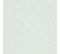 34418 - Papier Peint Texture Unie Verte Galerie