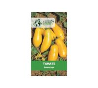 35 graines de tomate banana legs, variété jaune allongée productive, saveur douce et originale