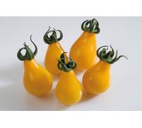 35 Graines De Tomate Cerise Poire Jaune