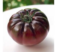35 Graines de Tomate Noire de Crimée (origine Française) - SemiSauvage Permaculture