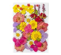 35 Pièces Fleurs Autocollants Flower Stickers Floral Sticker Fleurs Séchées Scrapbooking Autocollant pour Journal Album Photo Artisanat
