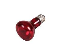 35 W, Lampe infrarouge à chaleur, R63 - - TR-76094