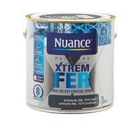 3505390999912 - Peinture XTREM Fer - Anthracit
