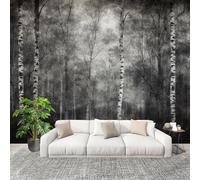 350x256 cm Seamless Join Easy Install Papier Peint Photo ForêT De Bouleaux Paysage Brumeux Durable Waterproof Removable Mural 200x140 Cm Noir Et Blanc Papier Peint Anti-Stain Fresque Murale Grande