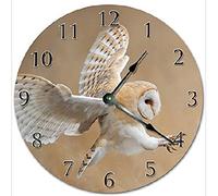 351 Ronde Horloge Murale Effraie des Clochers - Chouette Animale Cuisine Horloge sans Tic-Tac Décoration D'Intérieur Vintage Horloge pour Maison École Salon