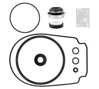 356198 Kit de reconstruction de pompe avec joint et joints toriques, convient pour les pièces de pompe de piscine Pentair Whisperflo, Intelliflo, comprend la réparation requise des pompes de piscine