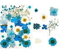 35pcs Fleurs séchées pressées feuilles vraies bougies de bricolage naturel décoratifs en résine bijoux pendentifs de téléphone d'ongle maquillage du visage pétales de fleurs décoratives mixtes