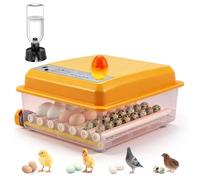 36-66 couveuse Oeuf Automatique, 5 Modes, contrôle de l'humidité