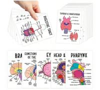 36 Cartes de référence rapide sur l'anatomie humaine - Guide d'étude complet pour les professionnels de la santé, Cartes d'anatomie et de physiologie - Cartes de référence du guide d'étude d'anatomie,