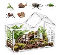 360° Terrarium Escargot Terrarium Phasme en Acrylique, 20x10x15 cm | Terrariums avec Ventilation Croisée, Boîte d'alimentation pour Reptiles, Mini Terrarium pour Insectes Tarentules Geckos