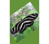 365 DAYS OF BUTTERFLIES: Explore every day with the inspiration of butterflies guiding you
