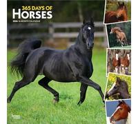 365 Days of Horses | Calendrier mural mensuel carré 2026 30,5 x 61 cm | Sans plastique | BrownTrout | Animaux équestres