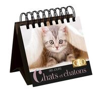 PlayBac – 365 jours Chats et chatons – Calendrier Géo