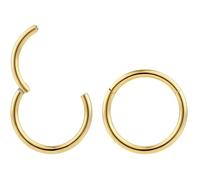 365 SLEEPERS 2 pièces en acier inoxydable 16G unisexe cerceau à charnière segment lèvre nez anneau Helix Tragus Septum boucles d'oreilles dormeuses 6mm - 16mm