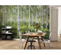 368X254CM Mural Géant Pour Mur Papier Peint Salon Jour Ensoleillé Forêt Arbres