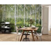 368X254CM Mural Géant Pour Mur Papier Peint Salon Jour Ensoleillé Forêt Arbres