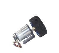 37mm Diameter Geared Motors 6V 12V 24V DC Gear electronic starter With Encoder and Wheel Kit For DIY JGB37-520 Gearmotor IINKUEYK(6V 1000RPM)