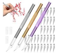 38 Pièces Scalpel avec Lames Kit, 3 Cutter de Précision avec 35 Lames de Rechange, Scalpel de Decoupe pour Modelisme, Papier, Sculpture, Couteau pour Loisir, Bricolage