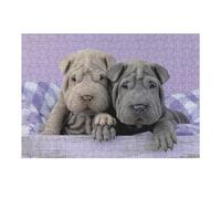 38x26cm/1000pcs Casse-têtes Pour Adolescents Adorable Shar-Pei Puppies on Checkered Cloth Puzzle Pour Adultes : Un Jeu De Réflexion Amusant Et Humoristique Pour Un Anniversaire Ou Noël 38x26cm/1000pcs
