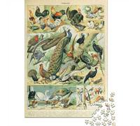 38x26cm/1000pcs, Puzzle 1000 Pièces, Birds by Adolphe Millot