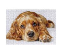 38x26cm/1000pcs Puzzle pour Adolescents English Cocker Spaniel Puzzle pour Adultes Jeux Relaxants Cadeaux pour Femmes Cadeaux Uniques pour Anniversaire Et Noël 38x26cm/1000pcs