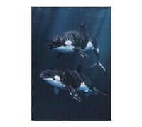 38x26cm/1000pcs Puzzle pour Adolescents Two Orcas Swimming Puzzle pour Adultes - Jeu De Réflexion, Analyse Et Logique - Difficile Et Stimulant 38x26cm/1000pcs