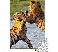 38x26cm/1000pcs, Puzzle pour Adultes 1000 Pièces, Tiger Water Duel