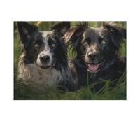 38x26cm/1000pcs Puzzle pour Adultes Two Happy Dogs in Grass Puzzles pour Adultes - Jeu Familial - Assemblage De Motifs - Cadeaux Uniques pour Anniversaire Et Noël 38x26cm/1000pcs