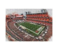 38x26cm/1000pcs Puzzles pour Adolescents FirstEnergy Stadium Jeu De Puzzle Et De Réflexion, Cadeaux pour Femmes, À Offrir À Toute La Famille 38x26cm/1000pcs
