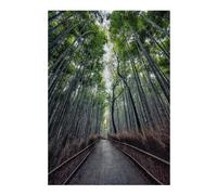 38x26cm/1000pcs Puzzles pour Adolescents Path in The Bamboo Puzzle Anti-Stress - Décoration Idéale pour Un Anniversaire Ou Noël 38x26cm/1000pcs