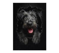 38x26cm/1000pcs Puzzles pour Adultes Irish Wolfhound Puzzles pour Adultes À Monter Soi-même - Jouets De Précision - Cadeaux Uniques pour Un Anniversaire Ou Noël 38x26cm/1000pcs