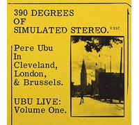 390 Degrees of Simulated Stereo V2.1/Black Vinyl