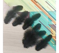 390 plumes noires pour loisirs créatifs, assortiment en vrac, petits chapeaux, décoration de vases, massage, carnaval, salon, plumes de coq, 4-9 cm - M102a1200-390pcs-390pcs