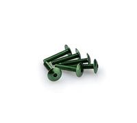 Puig 3995 V Blister 6 vis, bombé, M6, 30 mm, Couleur Vert