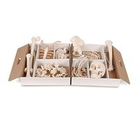 3B Scientific A04/1 Hémi-squelette, désarticulé (démonté) + Application anatomie gratuite - 3B Smart Anatomy
