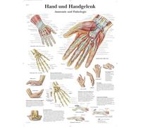 3B Scientific Affiche anatomique de la main et du poignet, anatomie et pathologies pour médecine, kinésithérapie et soins infirmiers