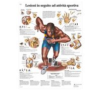 3B Scientific Affiche anatomique des blessures sportives en italien, médecine du sport pour kinésithérapie, orthopédie et sciences du sport
