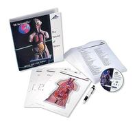 3B Scientific B01 Guide des Torses 3B