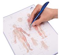 3B Scientific Cahier d'acupuncture Meridienne en anglais