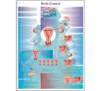 3B Scientific Carte de contrôle des naissances scientifique, Non laminé