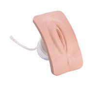 3B Scientific Insert Génital Féminin pour Simulateur de Cathétérisme P93 PRO/BASIC