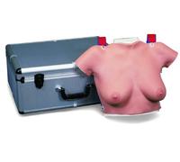 3B Scientific L50 Modèle de Palpation Mammaire, avec Valise de Transport et Planche Murale Incluses