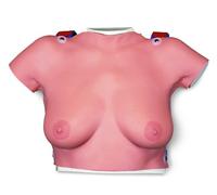 3B Scientific L51 Modèle de Palpation Mammaire